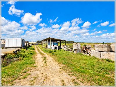 0 Bergin, Foxton
