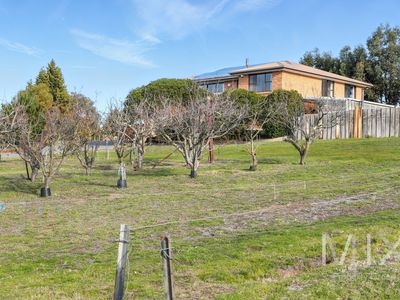 2 Andrea Court, Pontville