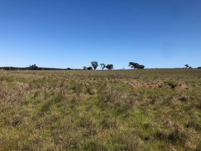 Lot 1, 4000 Korong Vale-Wychitella Road, Woolshed Flat