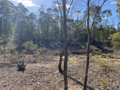 12 Lanes Road, Nanango