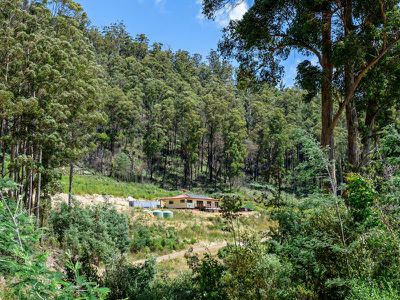 98 Coal Mine Road, Gardners Bay