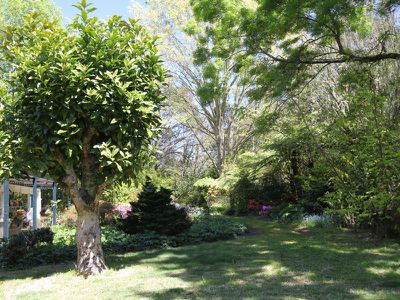 4 Gwen Road, Fitzroy Falls