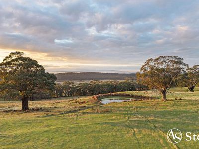 260 & 310 Mt William Road, Goldie