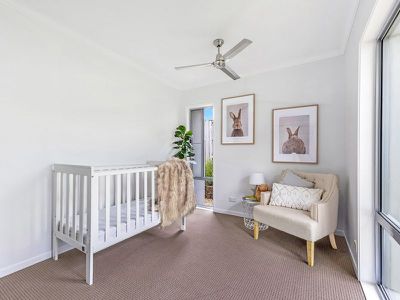 3 Nandina Court, Upper Coomera