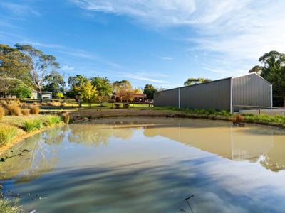 4 Bergman Road, Langwarrin