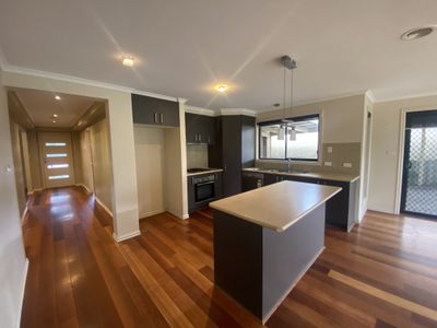 128 Harmony Drive, Tarneit