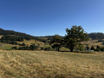 Lot 2, Direens Road, Lymington