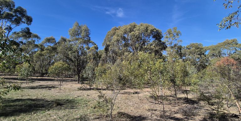 1622 Dookie-Violet Town Road, Koonda