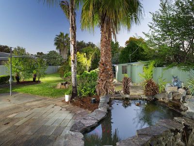 11 James Street, Wodonga