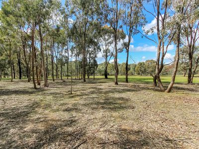 795 Dairy Flat Road, Tooborac