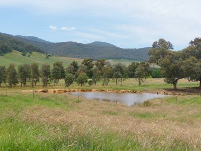 Tallangatta Creek Road, Tallangatta Valley