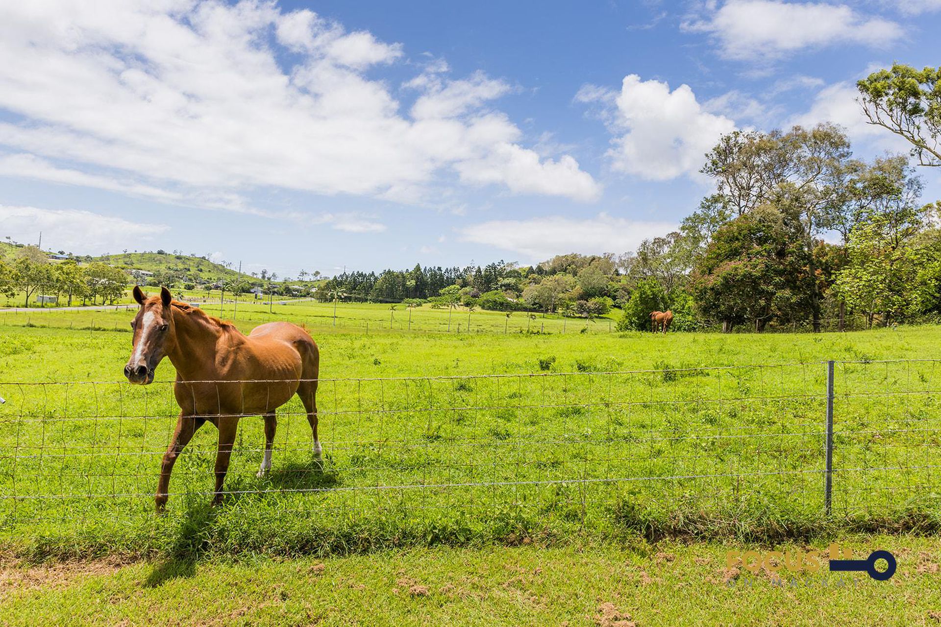 52 Fenech Avenue, Alligator Creek