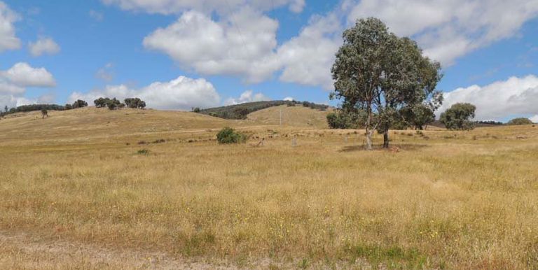 300 Whites Road, Benalla