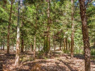 975 Green Pigeon Road, Green Pigeon Via, Kyogle