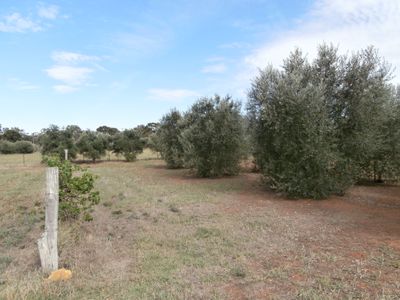 63 Sandhurst Street, Raywood