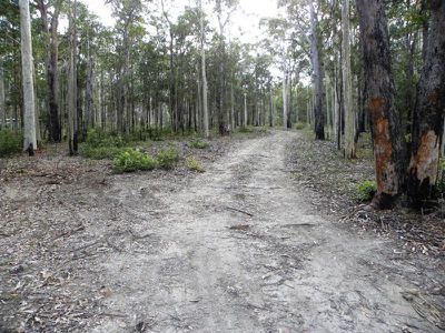 311 Wandean Road, Wandandian