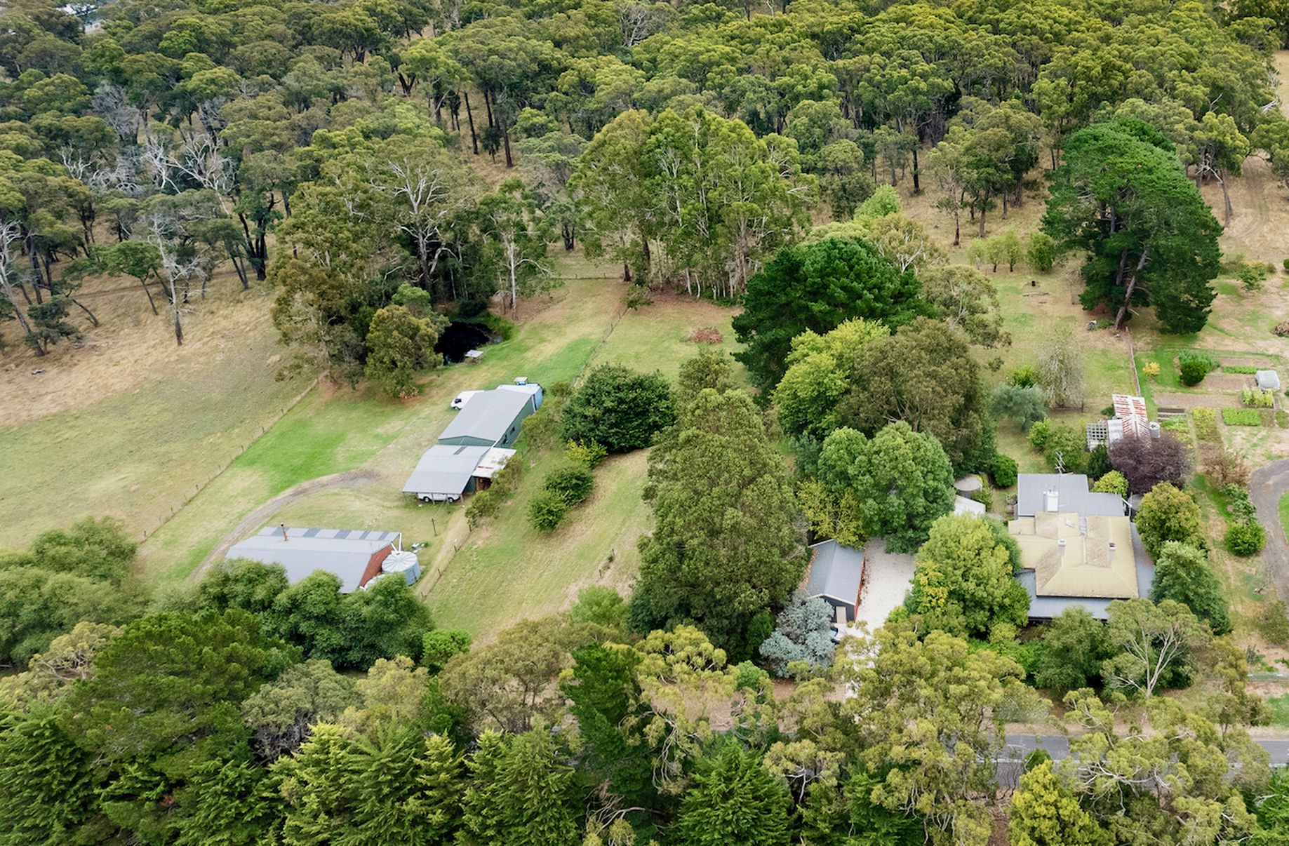 1630 Birregurra-Forrest Road, Barwon Downs