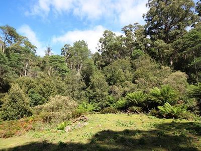Lot 19 Waggs Gully Road, Ranelagh