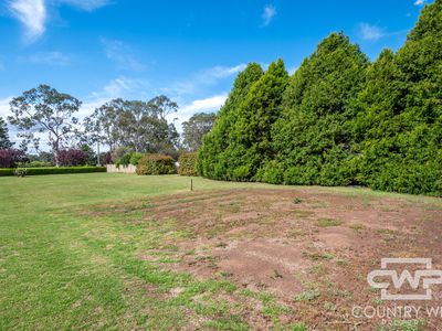 21 Potter Parade, Glen Innes