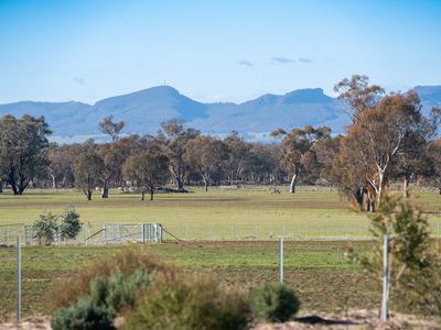 'Willowbank' Urana Road, Jindera