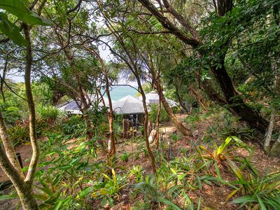 Lot 9 Bedarra Island, Dunk