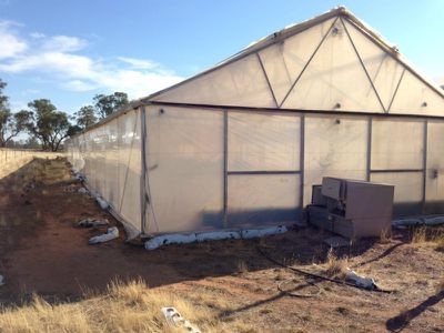 Cobb Highway, Deniliquin