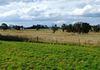 704 Forest Road, Orange