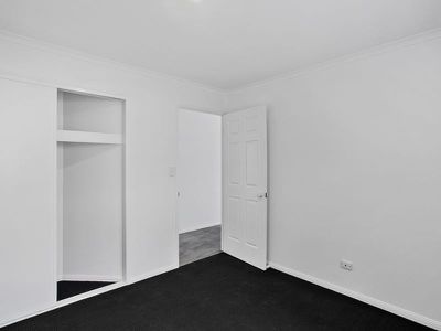 117 Griffith Avenue, Tewantin