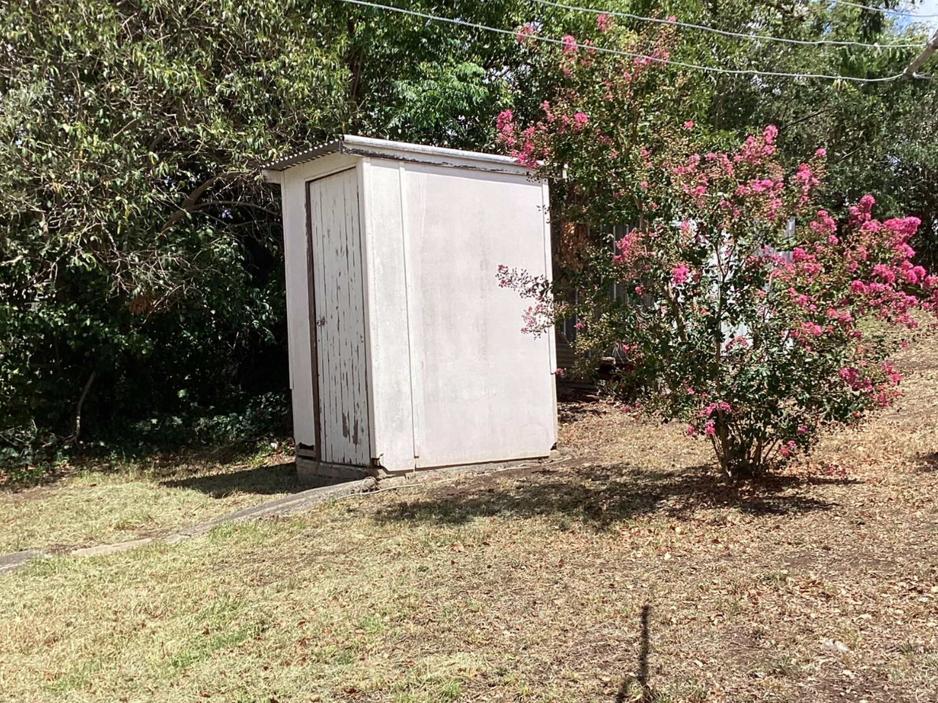 29 ANCRUM STREET, Cassilis