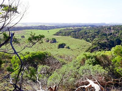 Bungaree Road, Bungaree