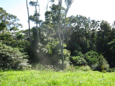 Maleny