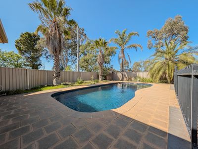 207 Dip Road, Wandella