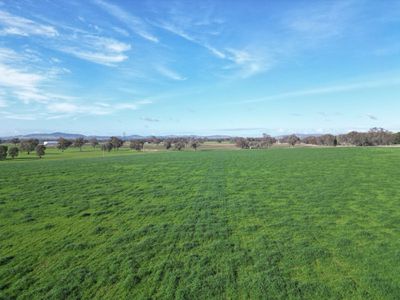 'Willowbank' Urana Road, Jindera