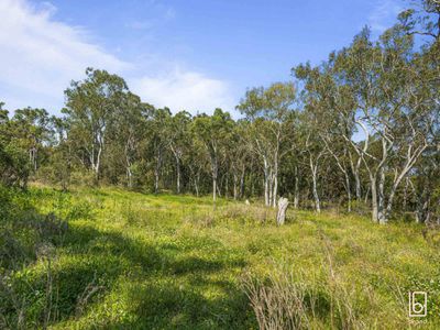90 Minnesota Road, Hamlyn Terrace