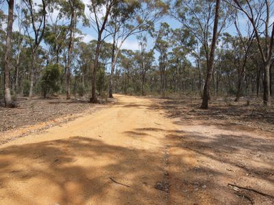 265 Lynchs Crossing Road, St Arnaud