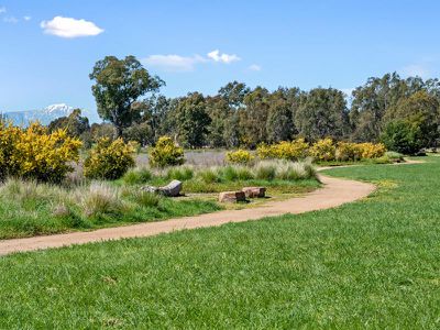 11 Saddle Court, Mansfield