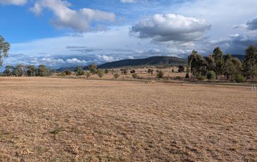 81 Riddell Street, Bingara