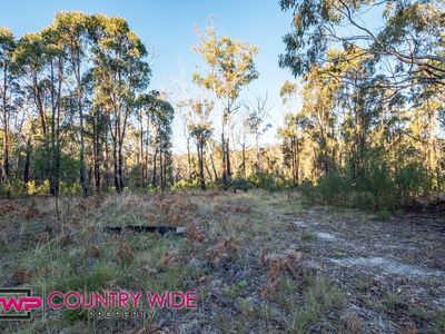 Lot 2, Carrot Farm Road, Deepwater