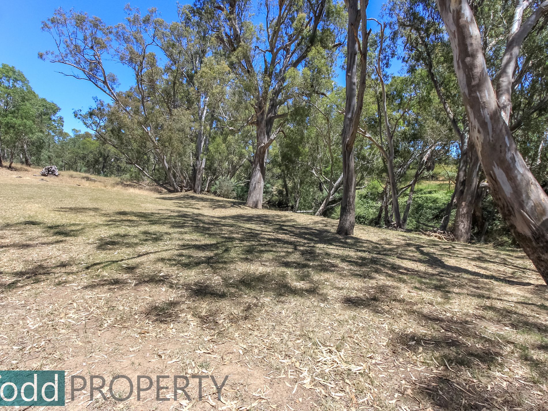 655 Spring Flat Road, Heathcote