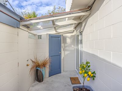 24B Celia Street, Redcliffs