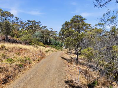 237 Pateena Road, Longford