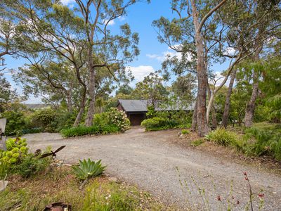 264 Ackland Hill Road, Coromandel East