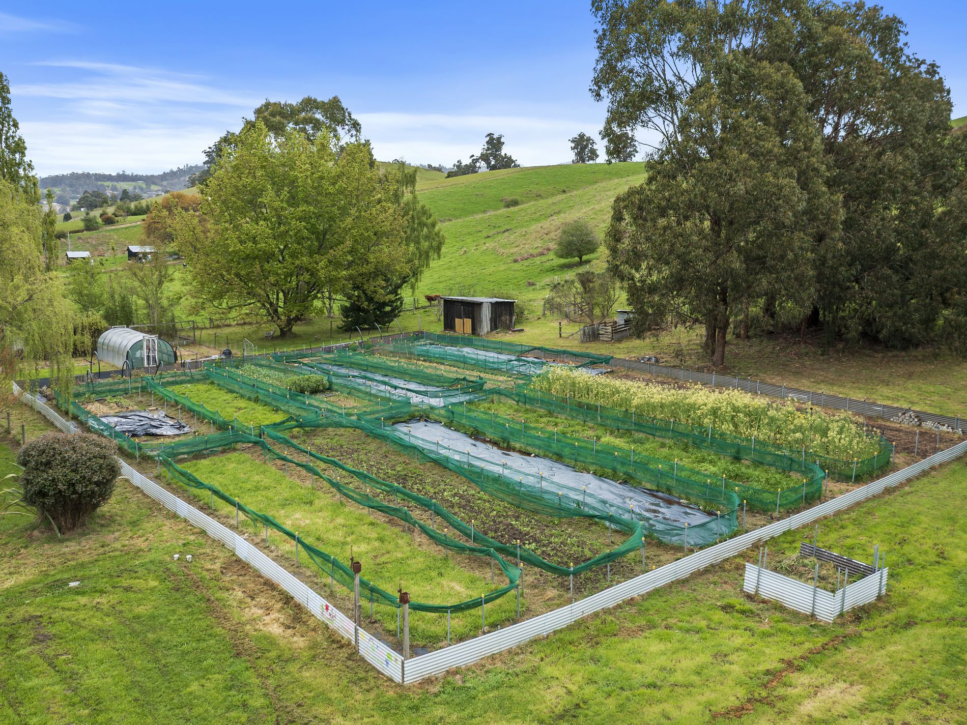 125 Slab Road, Homelands Property