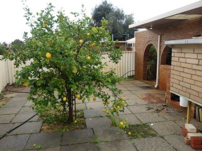 95 Cedric Street, Stirling