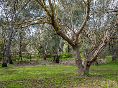 110 Watt Road, Kialla