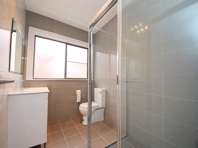 27 Petunia Avenue, Bankstown