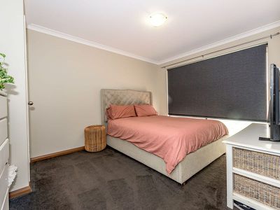 5 Tuomey Follow , Baldivis