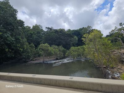 1741 Endeavour Valley Road, Cooktown