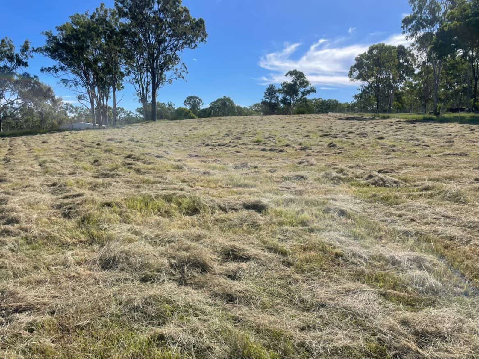Photo 3 of 5, Lot 12 Heartwood Estate Collins Court, Nanango