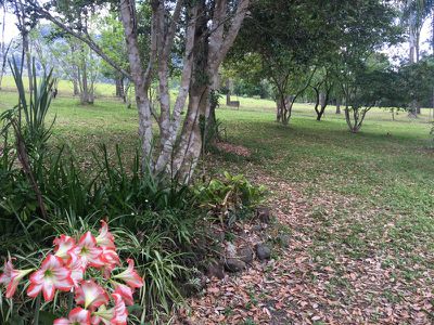2 / 5 Hensen Road, Nimbin